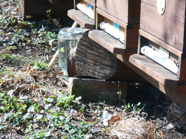DSCN1376